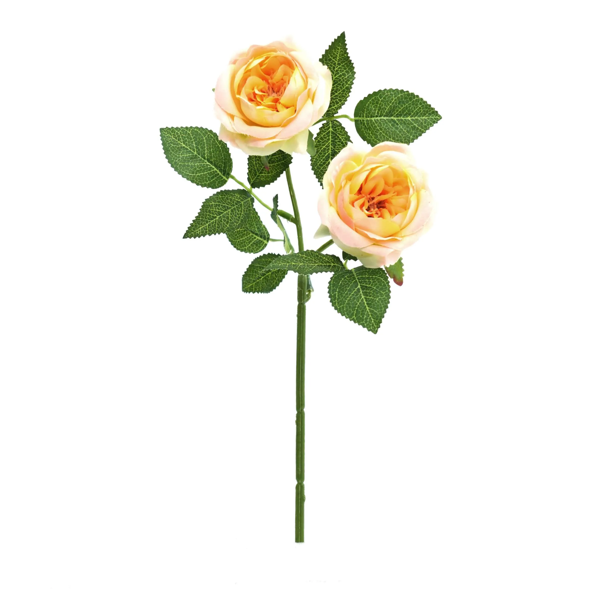 2 rosas