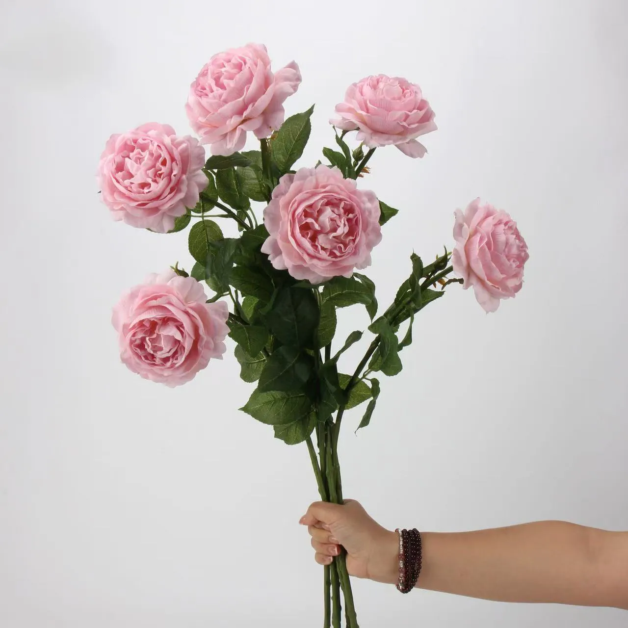 Rocío de loto rosa
