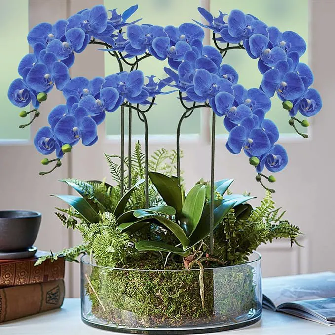 Orquídea de Phalaenopsis
