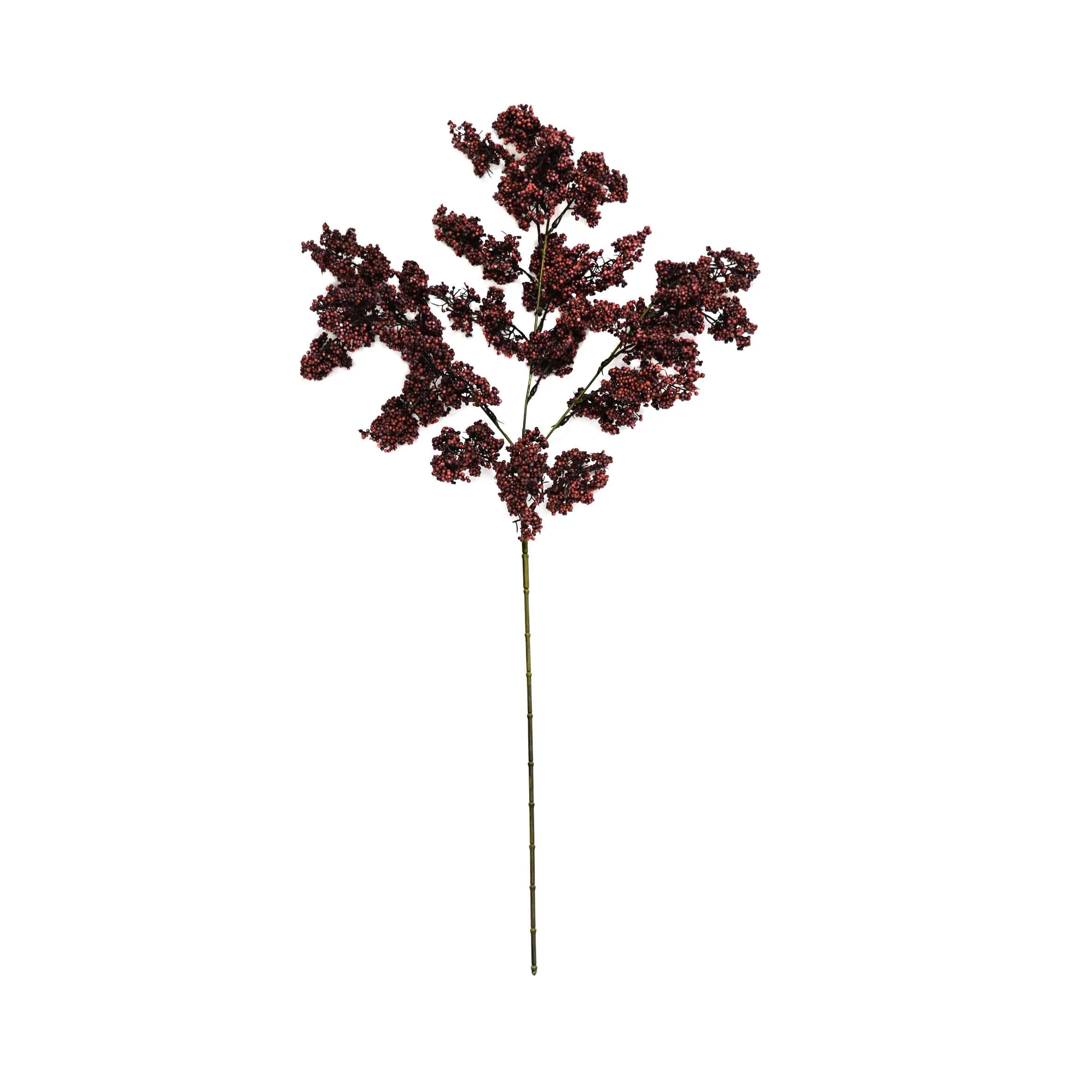 Una sola fruta verde invernal