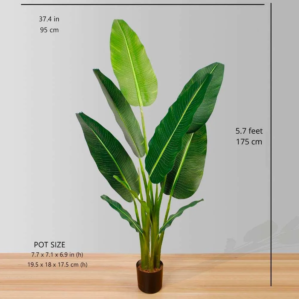Viajeros artificiales planta en maceta de palmera