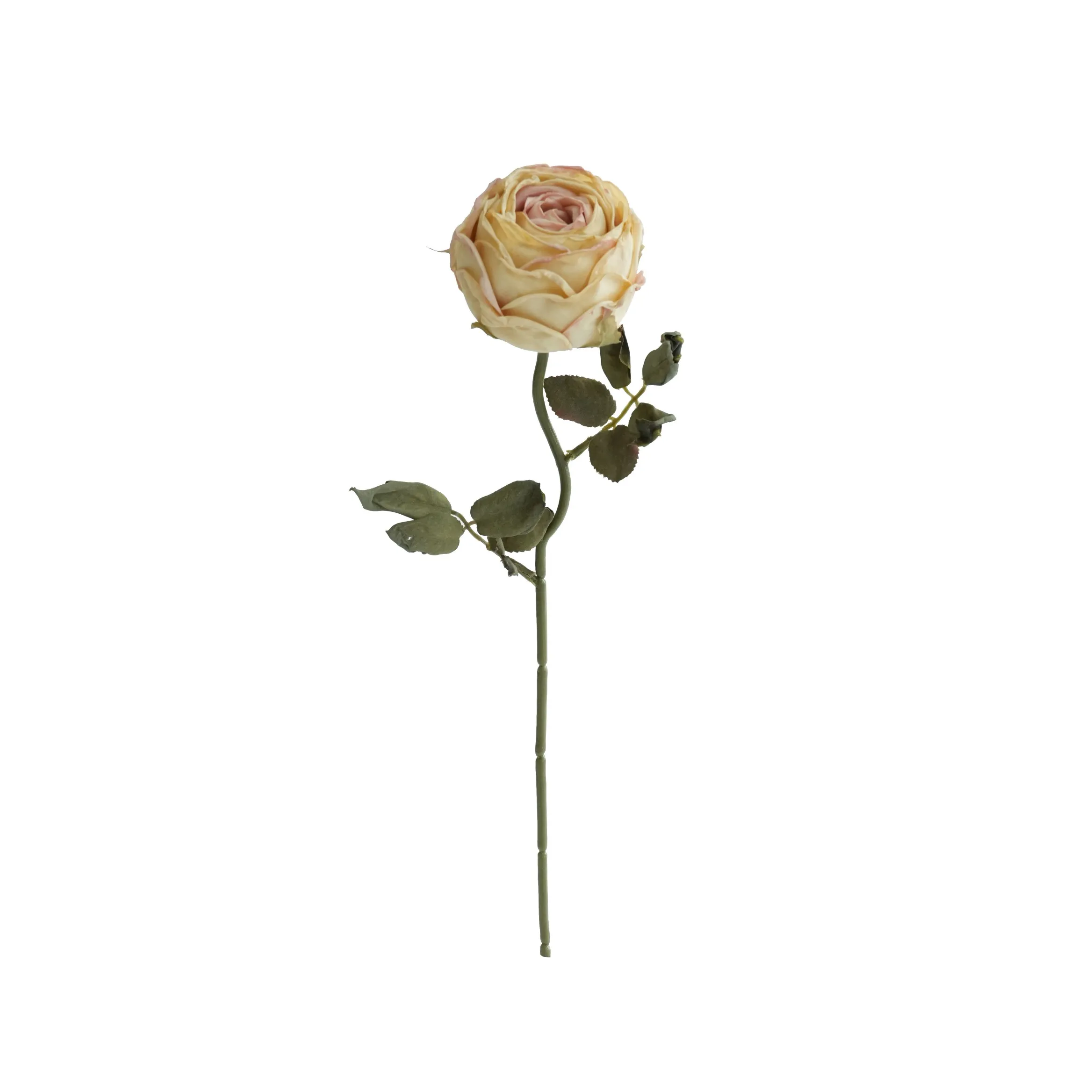 Rosas redondas picadas