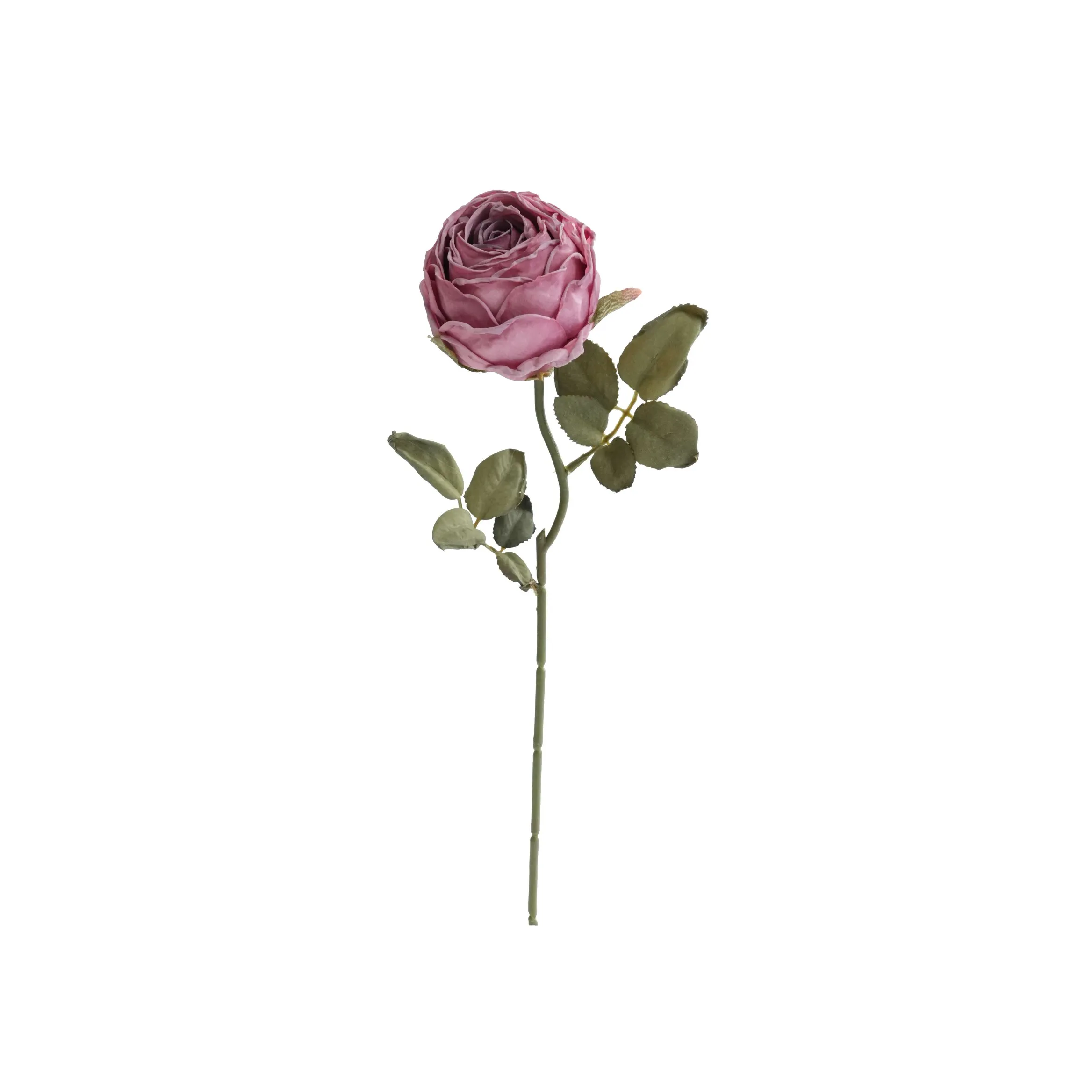 Rosas redondas picadas