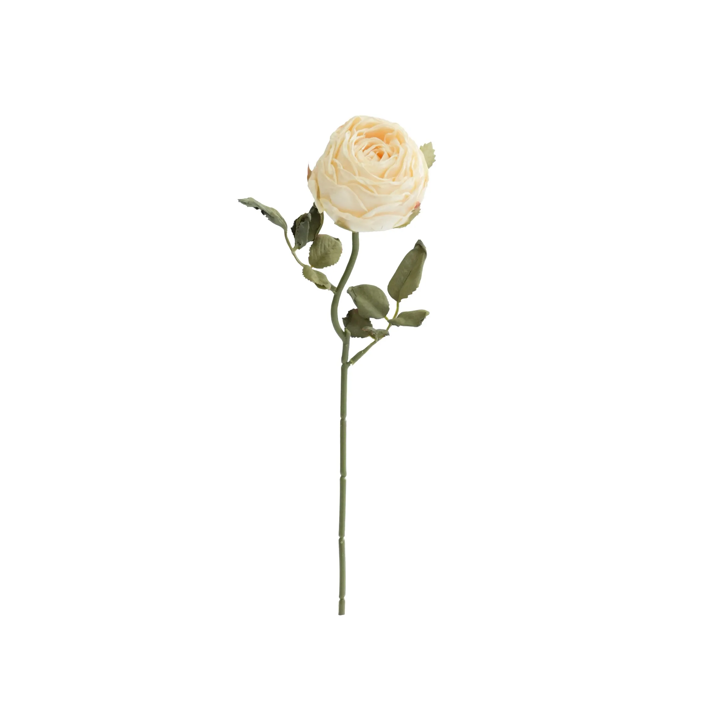 Rosas redondas picadas
