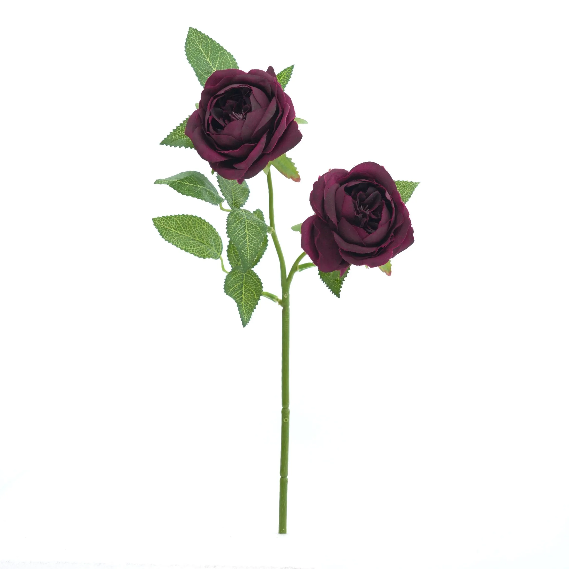 2 rosas
