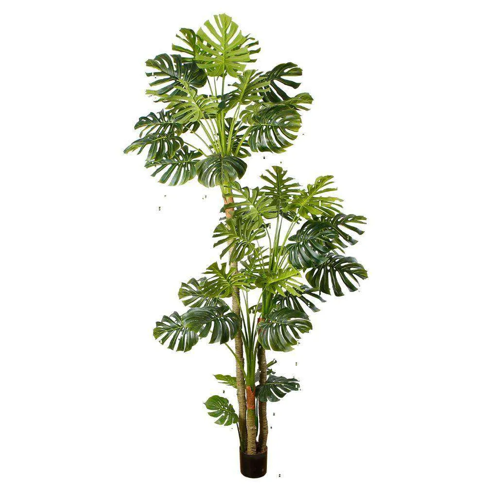 Planta senior de monstruos artificiales (múltiples tamaños）
