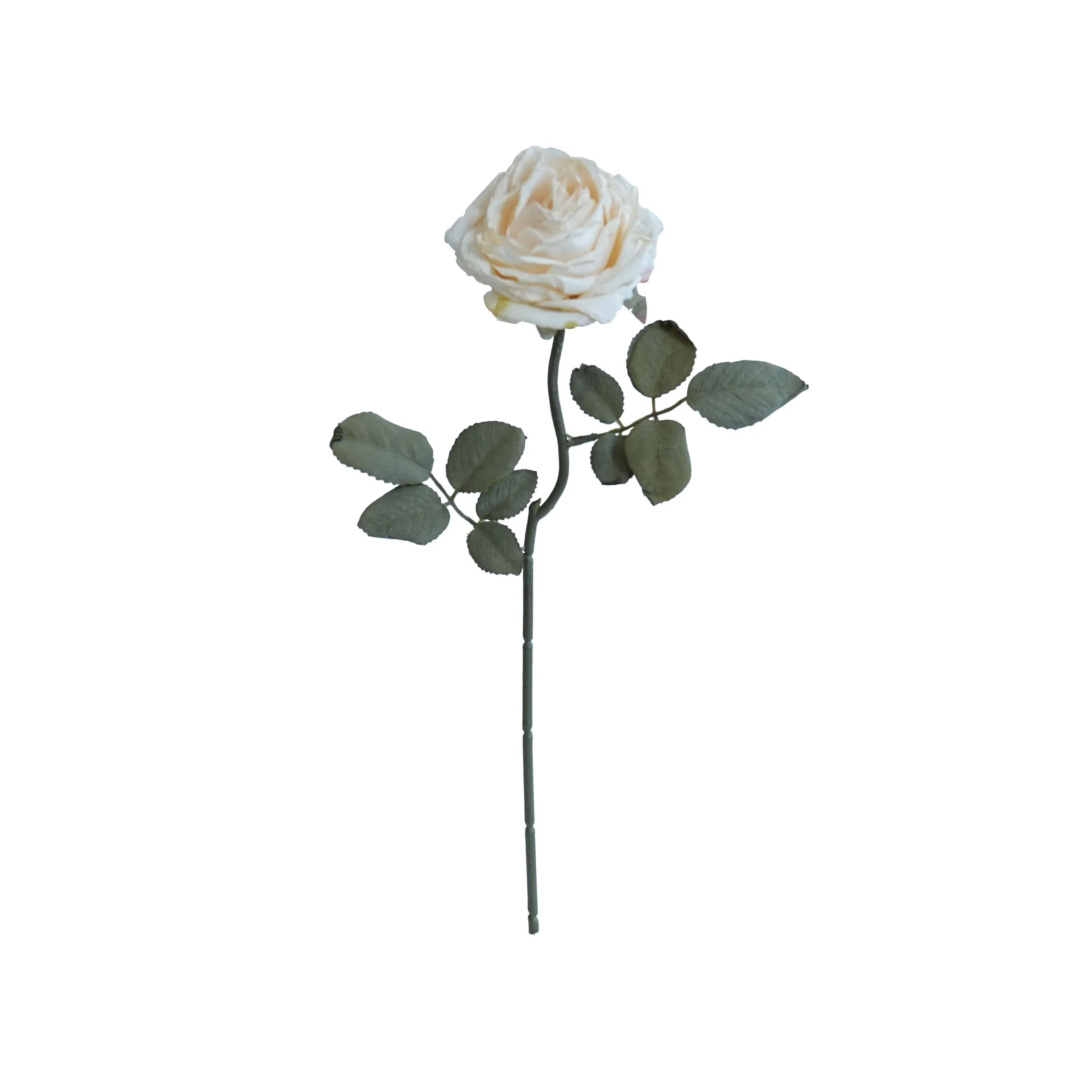 Rosas multicapa con bordes de corcho